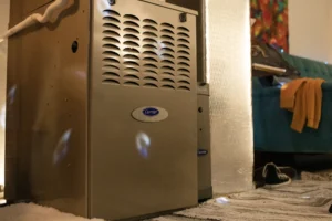 picture of Carrier Furnace