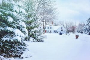 image of snowy trees furnace efficiency