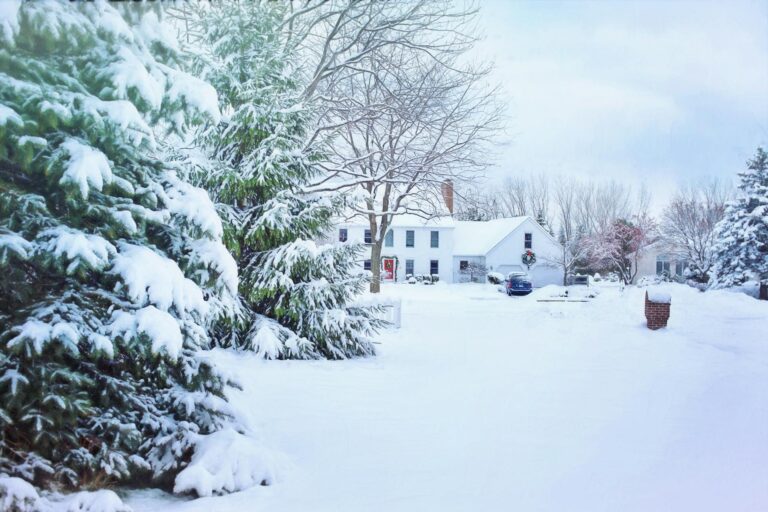 image of snowy trees furnace efficiency
